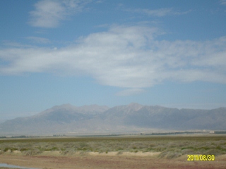 ALIM1807 (320x240).jpg