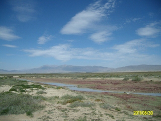 ALIM1806 (320x240).jpg