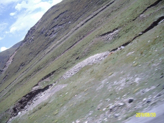 ALIM1823 (320x240).jpg