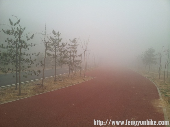 迷雾.jpg