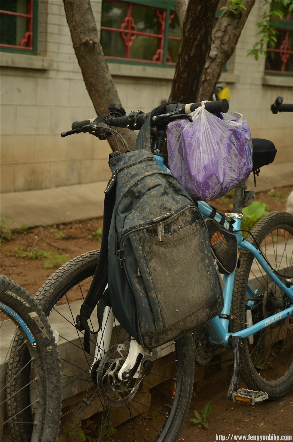 看看----这是去哪了？