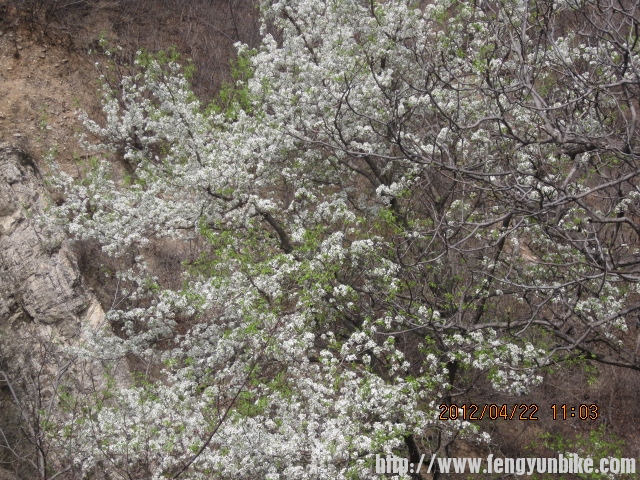 累了吧 来点清新的