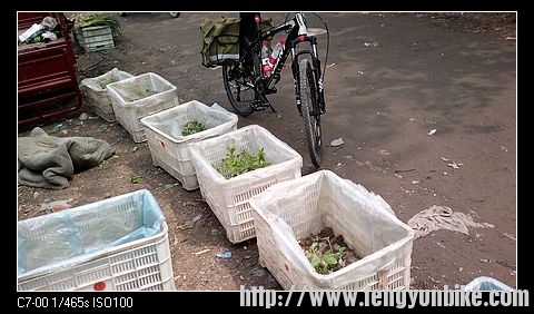 这就是我今天要采购的东西