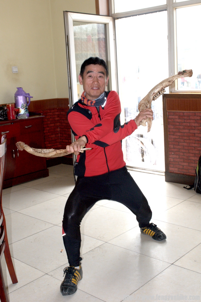 圈圈驴开始表演牛骨舞