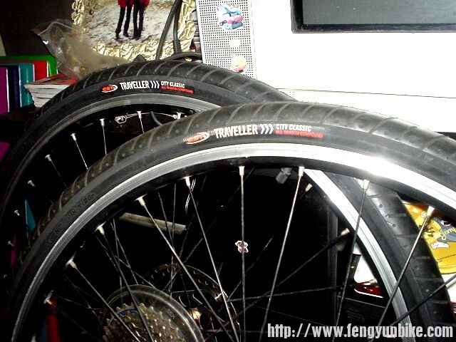 新购置两条光头