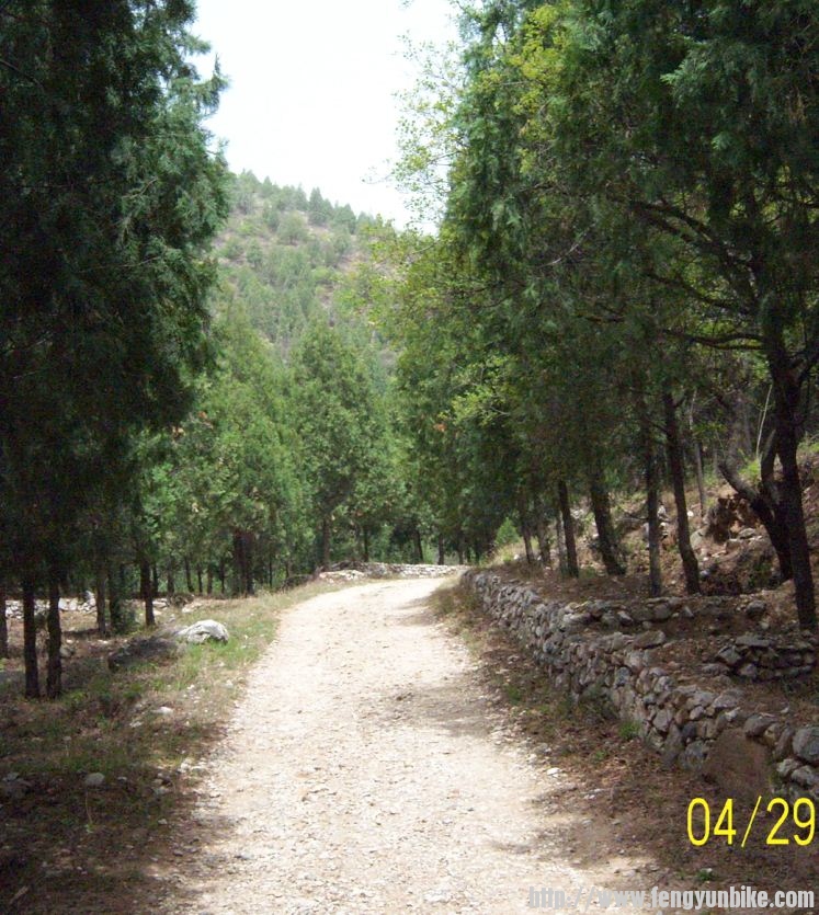 昭陵后面的山间小路