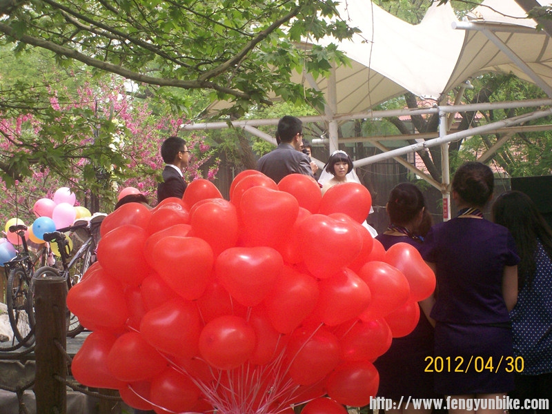 照片 138_副本.jpg