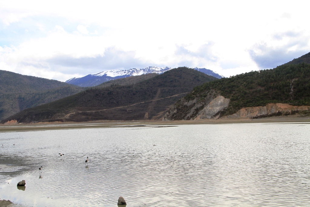IMG_2012_04_11_7465.JPG