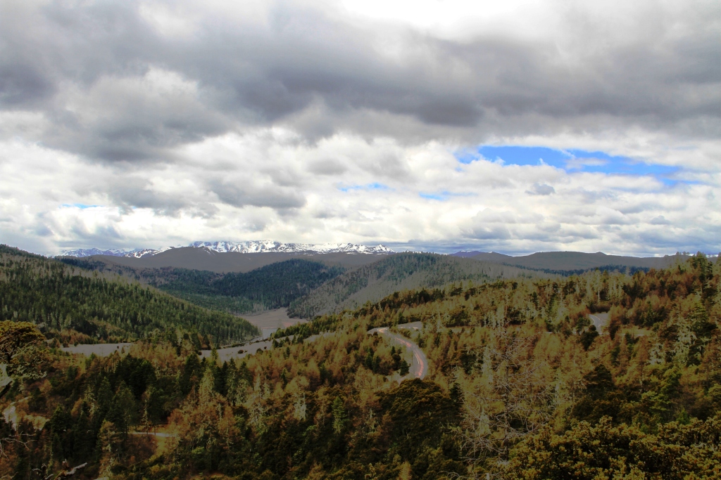 IMG_2012_04_12_7686.JPG