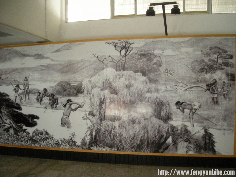 DSCN1601 (800x600).jpg