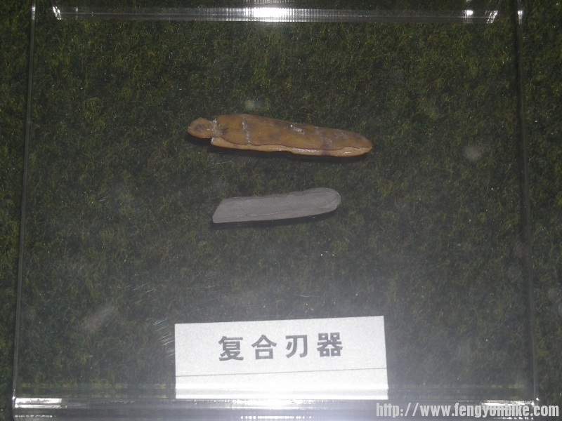 DSCN1606 (800x600).jpg