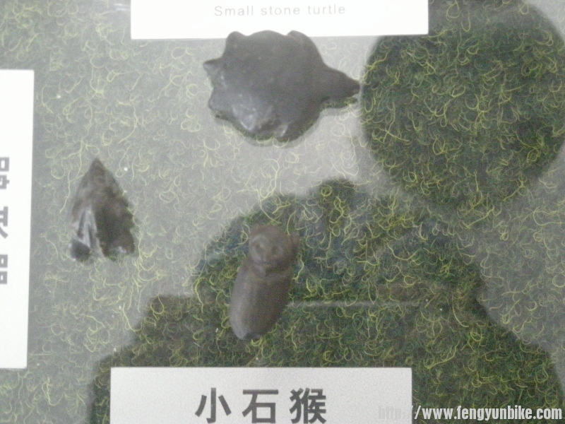 DSCN1609 (800x600).jpg