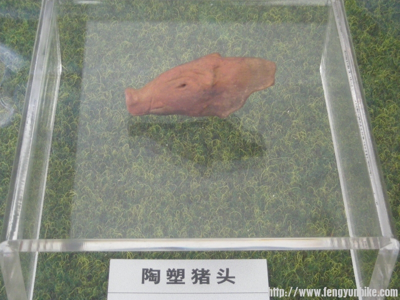 DSCN1614 (800x600).jpg