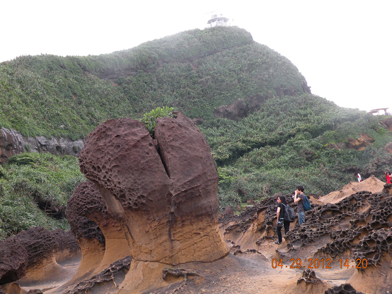 4.29.野柳风景区 (26)_副本.jpg