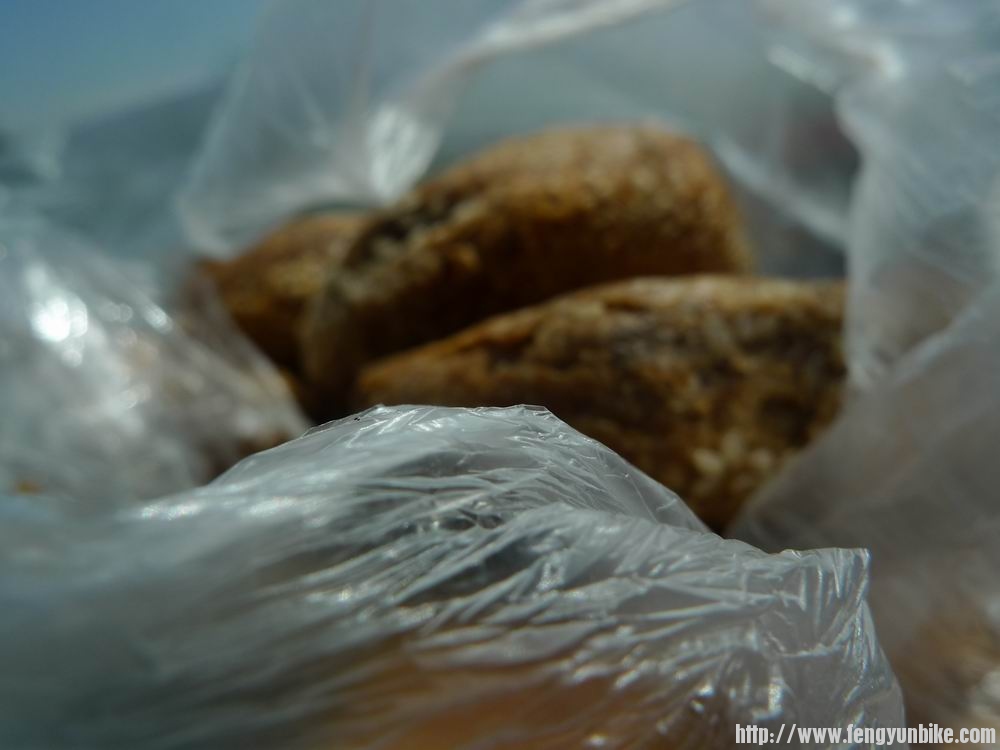 调整大小 P1030052.JPG