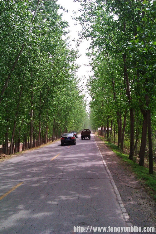 林荫小道~~