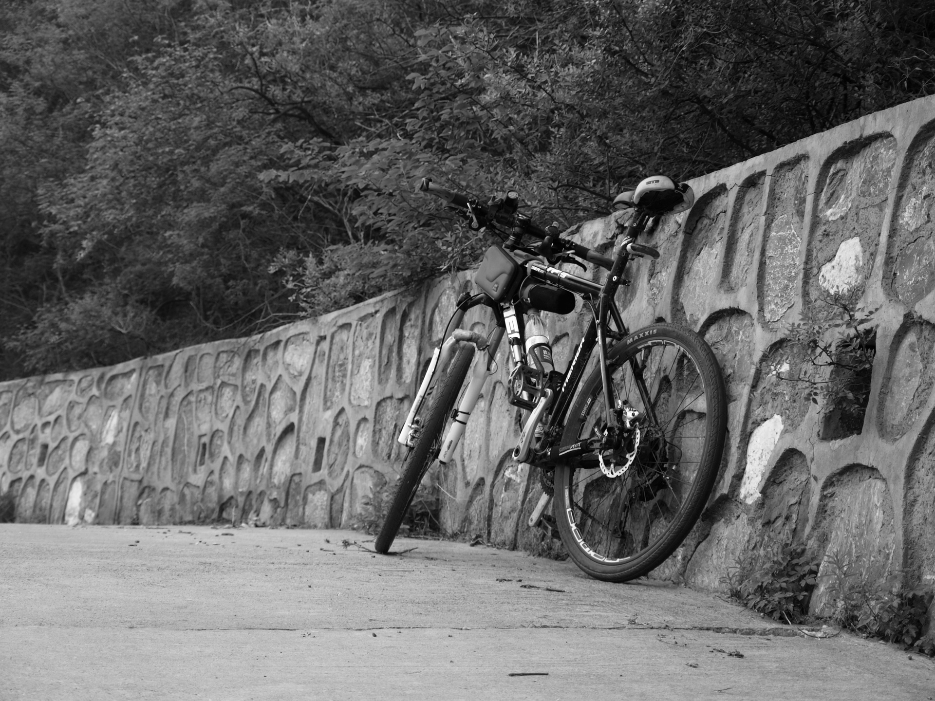 P5132183 suoxiao.jpg