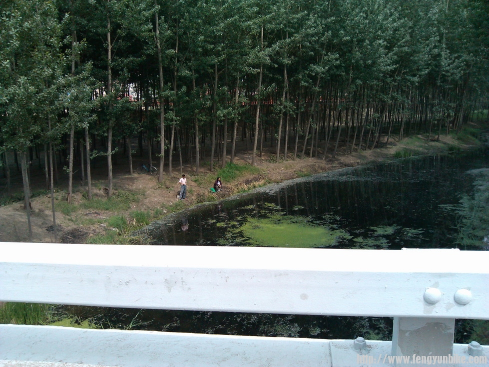 臭水沟中估计也能钓到鱼