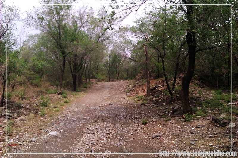 上土石路了沿路上山