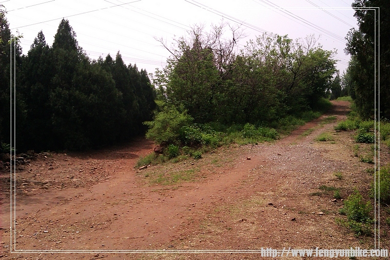 这是我回头照的，这是岔口--下坡的时候要注意