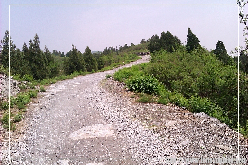 随时小心路面的石头