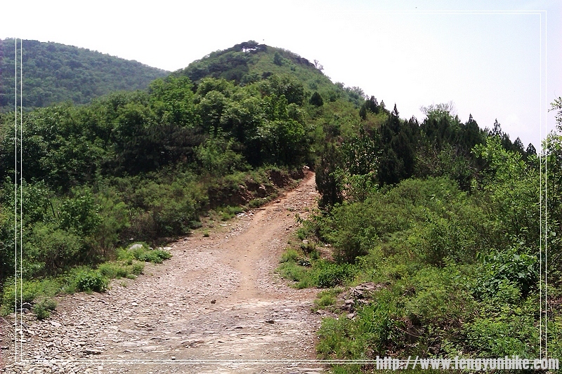 注意不要压到路边的突起的石块
