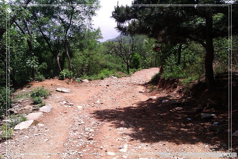 上玩这个坡就到观佛台了