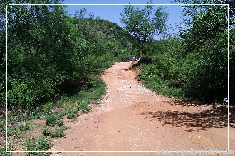 回头照--观佛很平整