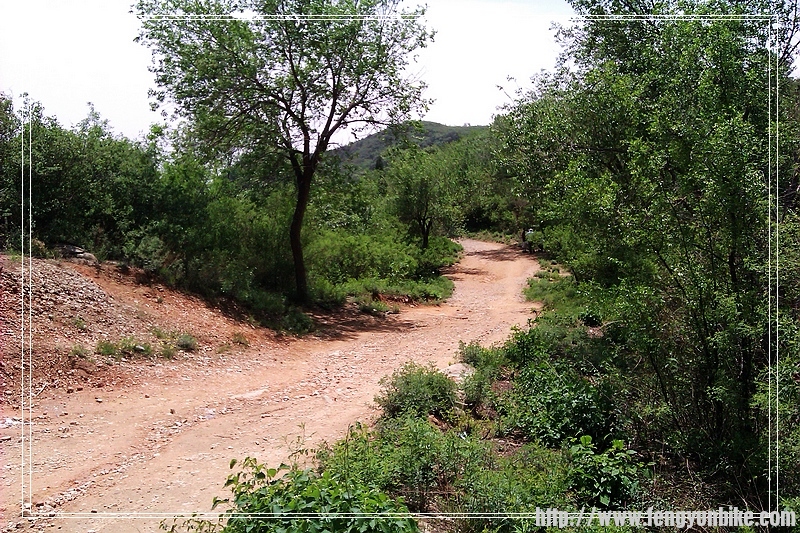 回头照--上观佛台得路