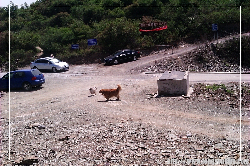 这是个三岔路口记住，比赛的路是最上面的那条路下来后往右拐