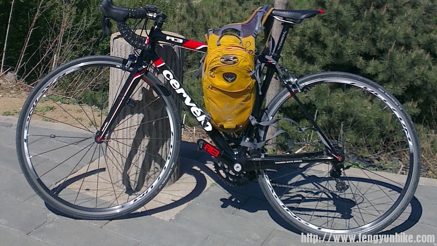 Fulcrum racing T.jpg