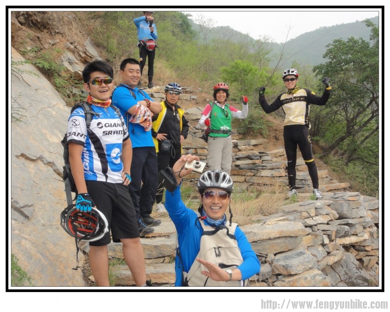 骑着看帐本·玫瑰