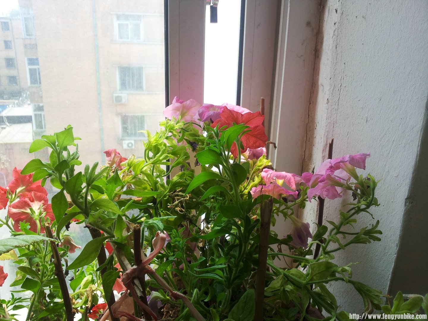 20120518_120253.jpg