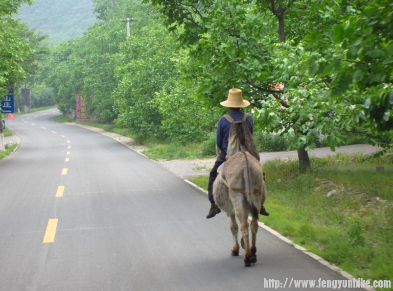 56,骑毛驴的行者，如果当天有雾，就更加仙境啦.jpg