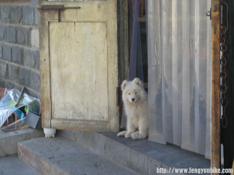 DSCN1681 (800x600).jpg