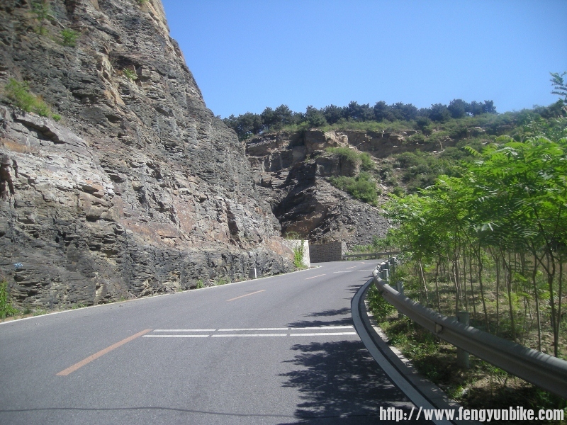 DSCN1690 (800x600).jpg