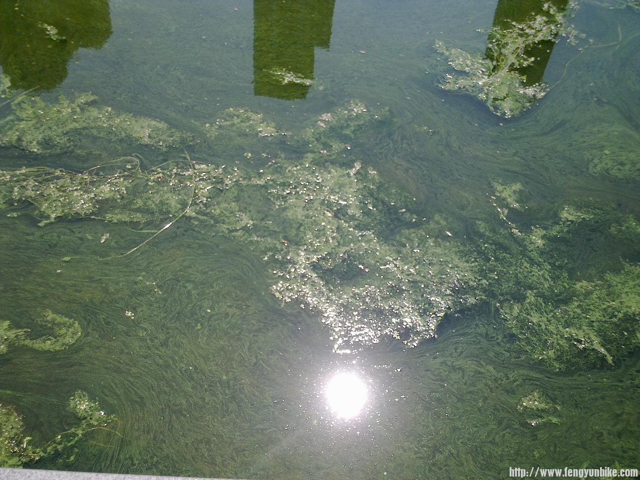 當日往返天津照片 003.jpg