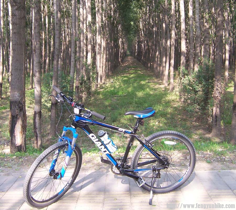 稻香湖公园最西面，林荫深处就是公园里了