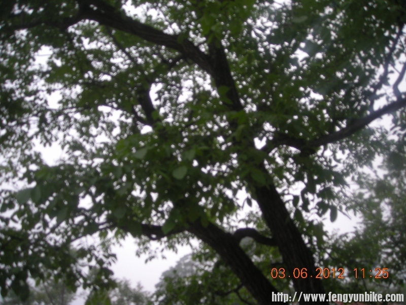 DSCN1719 (800x600).jpg