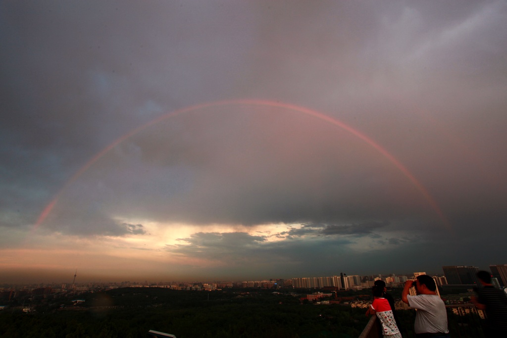  不经风雨，哪能见彩虹