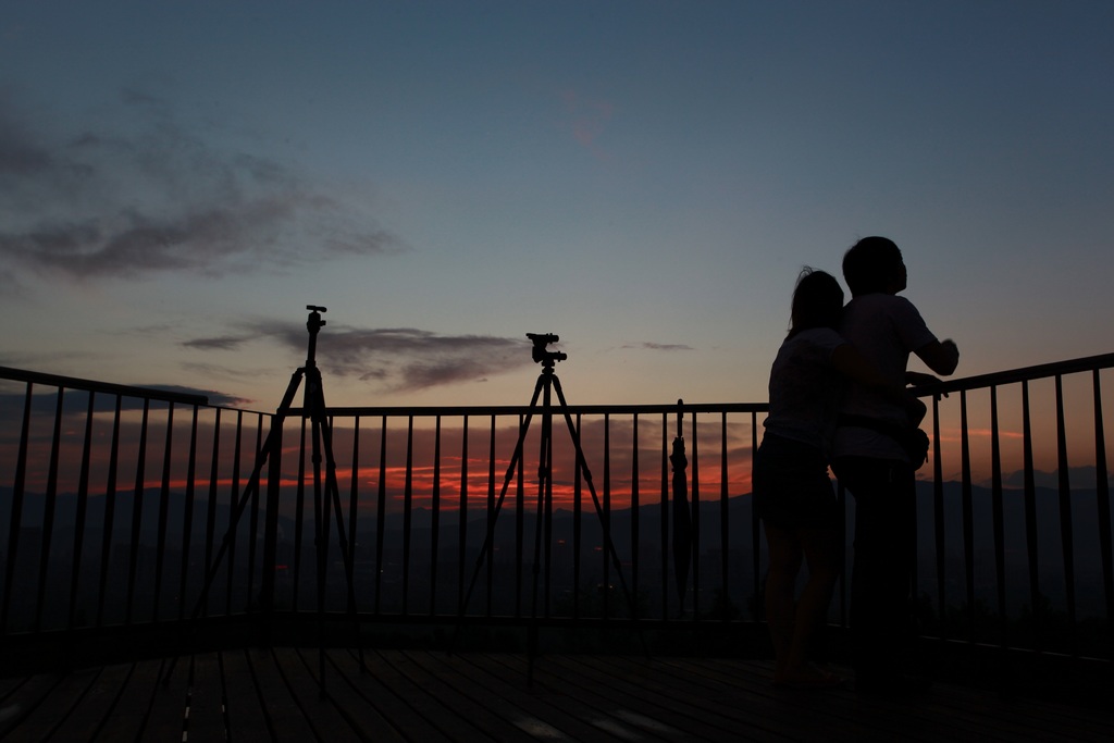  不经风雨，哪能见彩虹