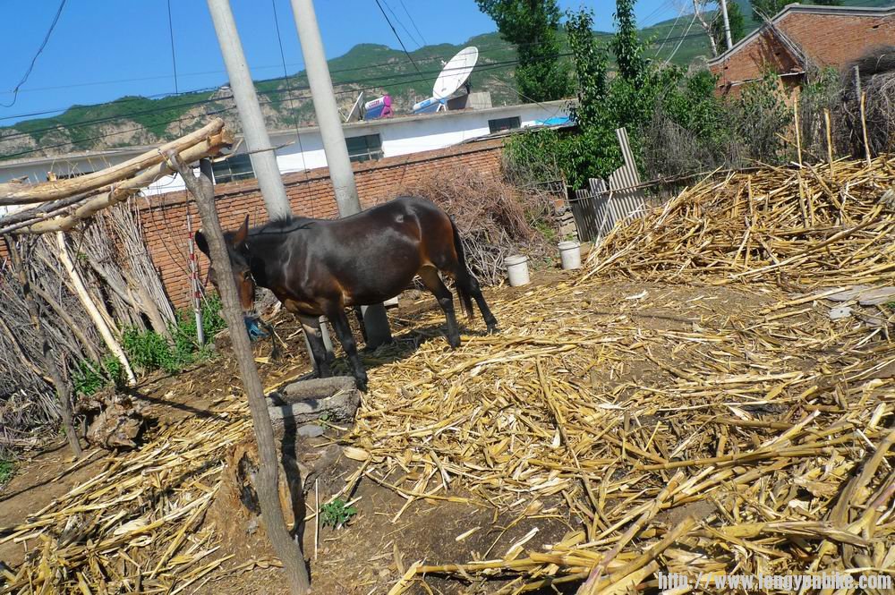 调整大小 nEO_IMG_P1030430.jpg