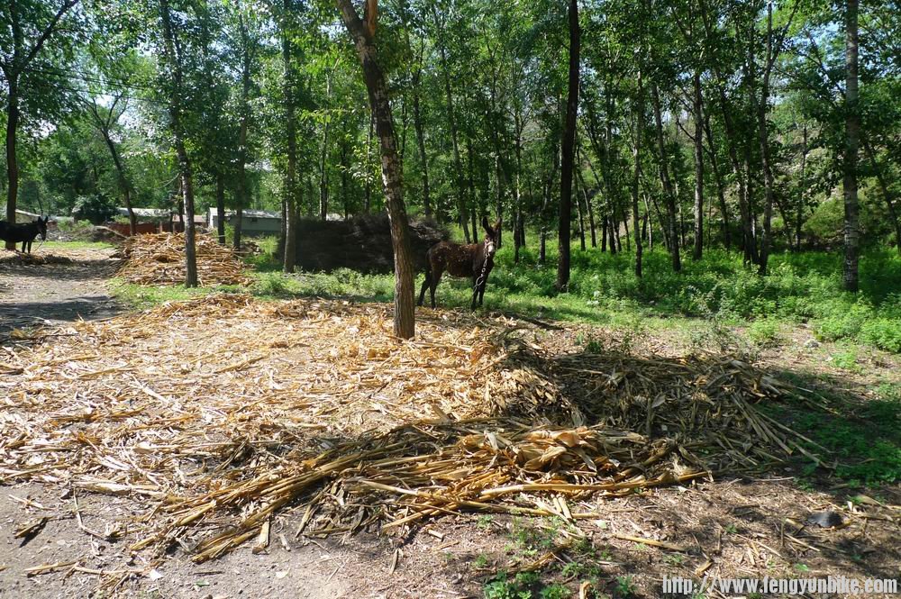 调整大小 nEO_IMG_P1030431.jpg