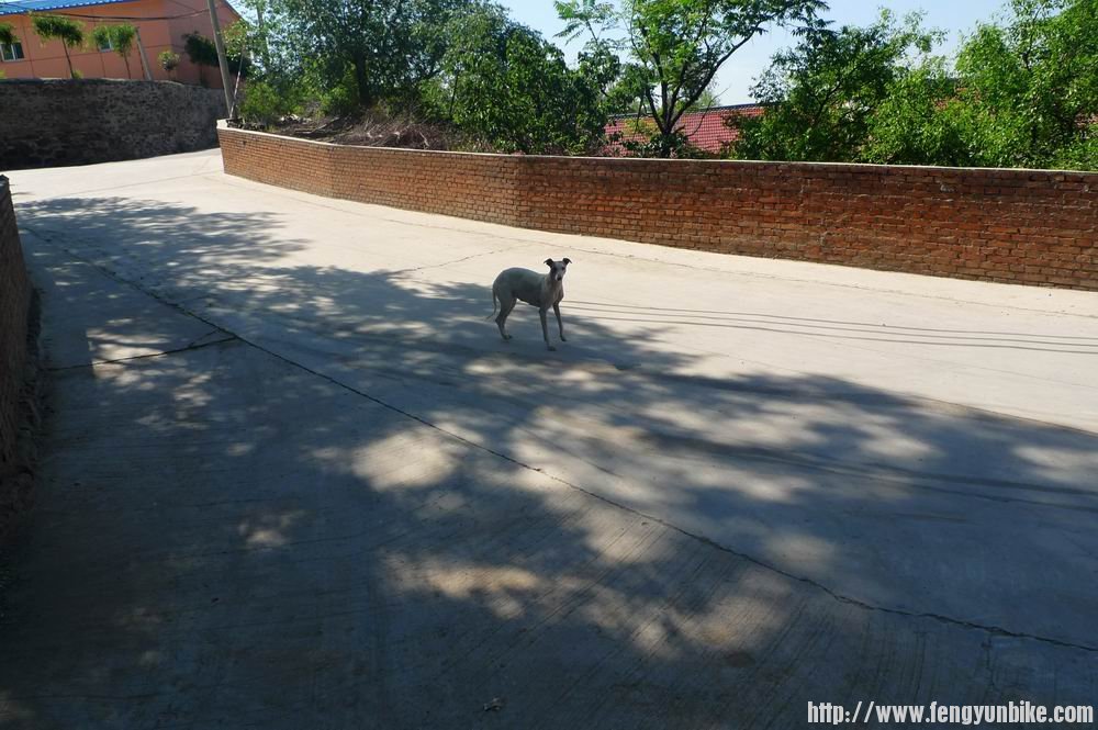 调整大小 nEO_IMG_P1030434.jpg