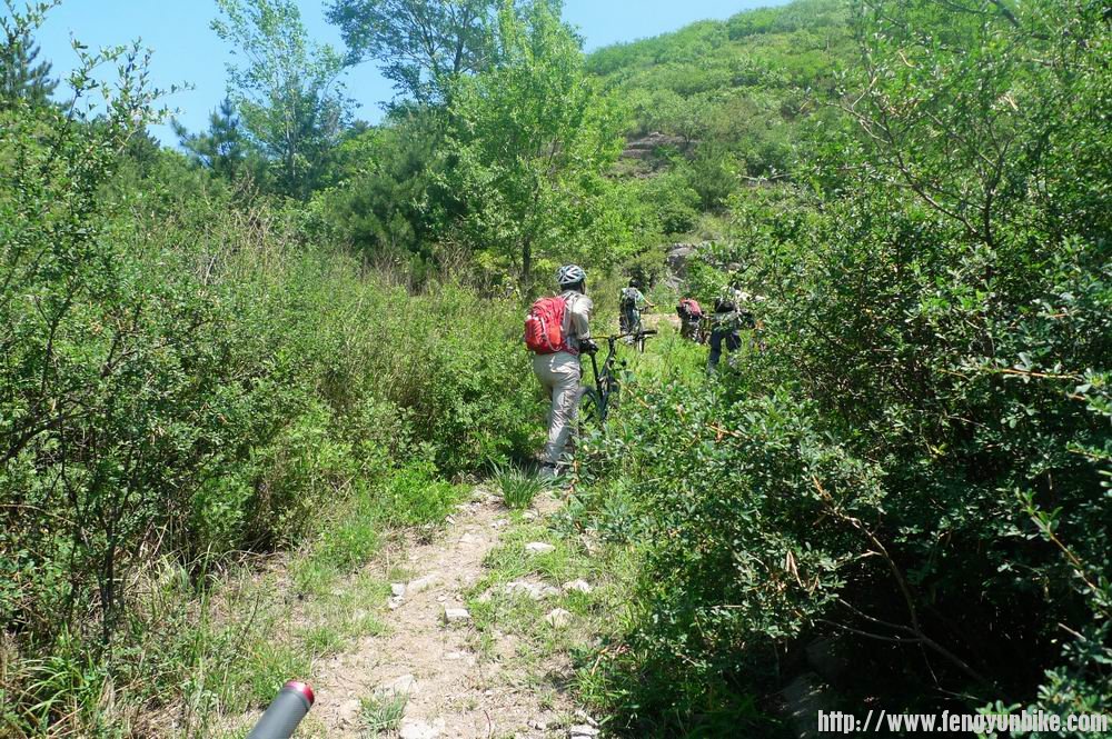 调整大小 nEO_IMG_P1030471.jpg