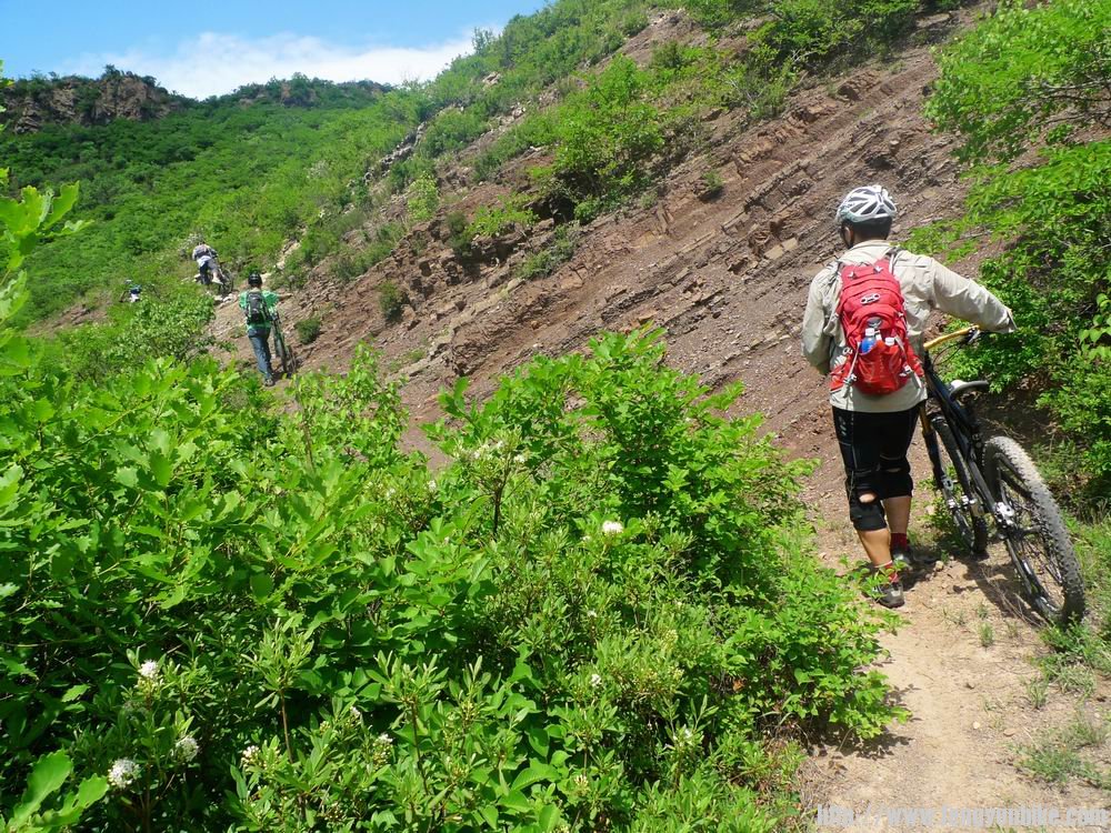 调整大小 nEO_IMG_P1030538.jpg