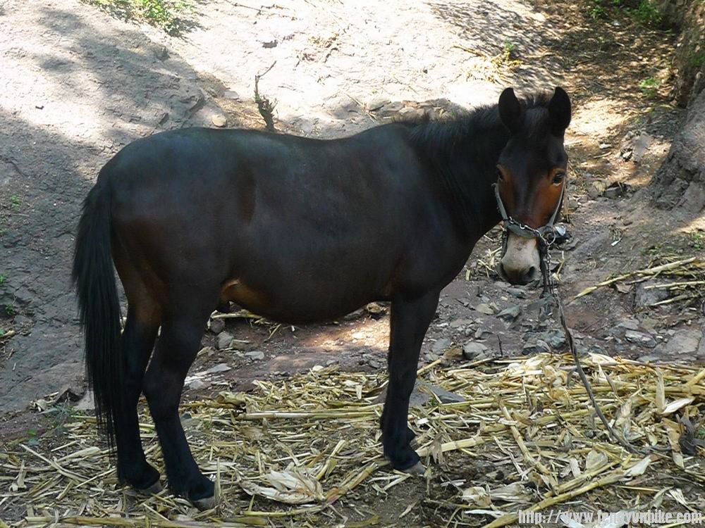 调整大小 nEO_IMG_P1030548.jpg