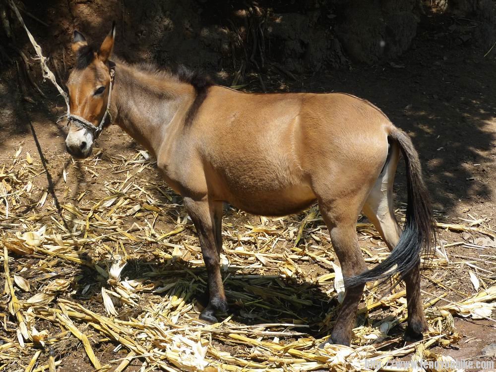 调整大小 nEO_IMG_P1030551.jpg