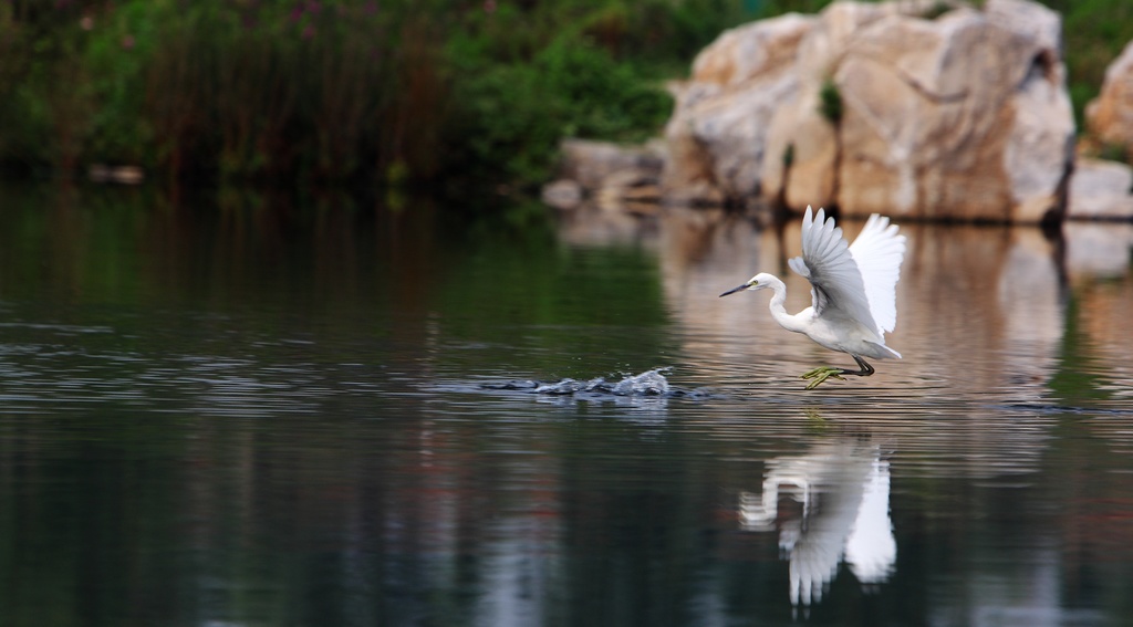 “舞动的天使”