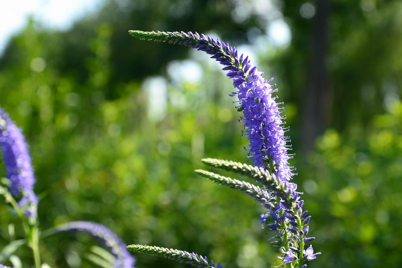 调整大小 DSC_0049.JPG